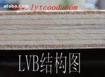 LVB木板 規格、價格與選購指南